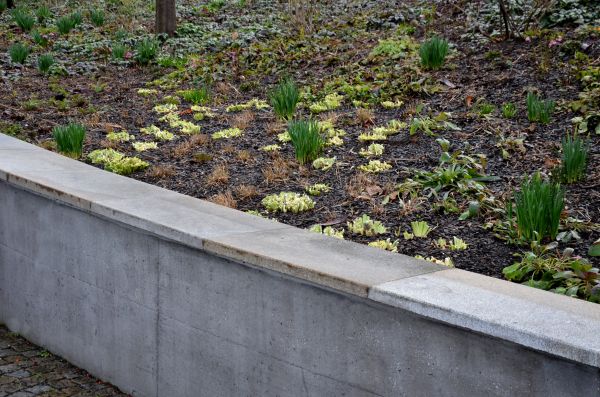 Concrete Wall Construction in Lawrenceville