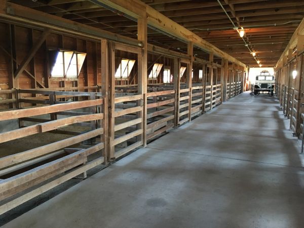 Barn Slab Construction in Lawrenceville