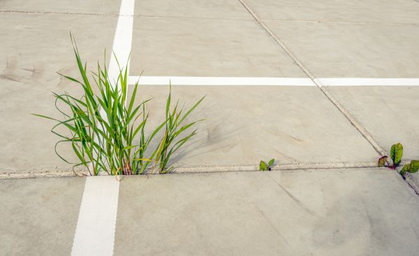 Concrete Parking Installation in Lawrenceville